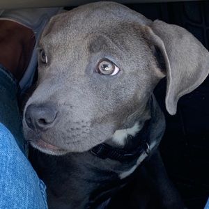 Meet your Posher, Keith